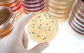 Diagnostic des maladies parasites